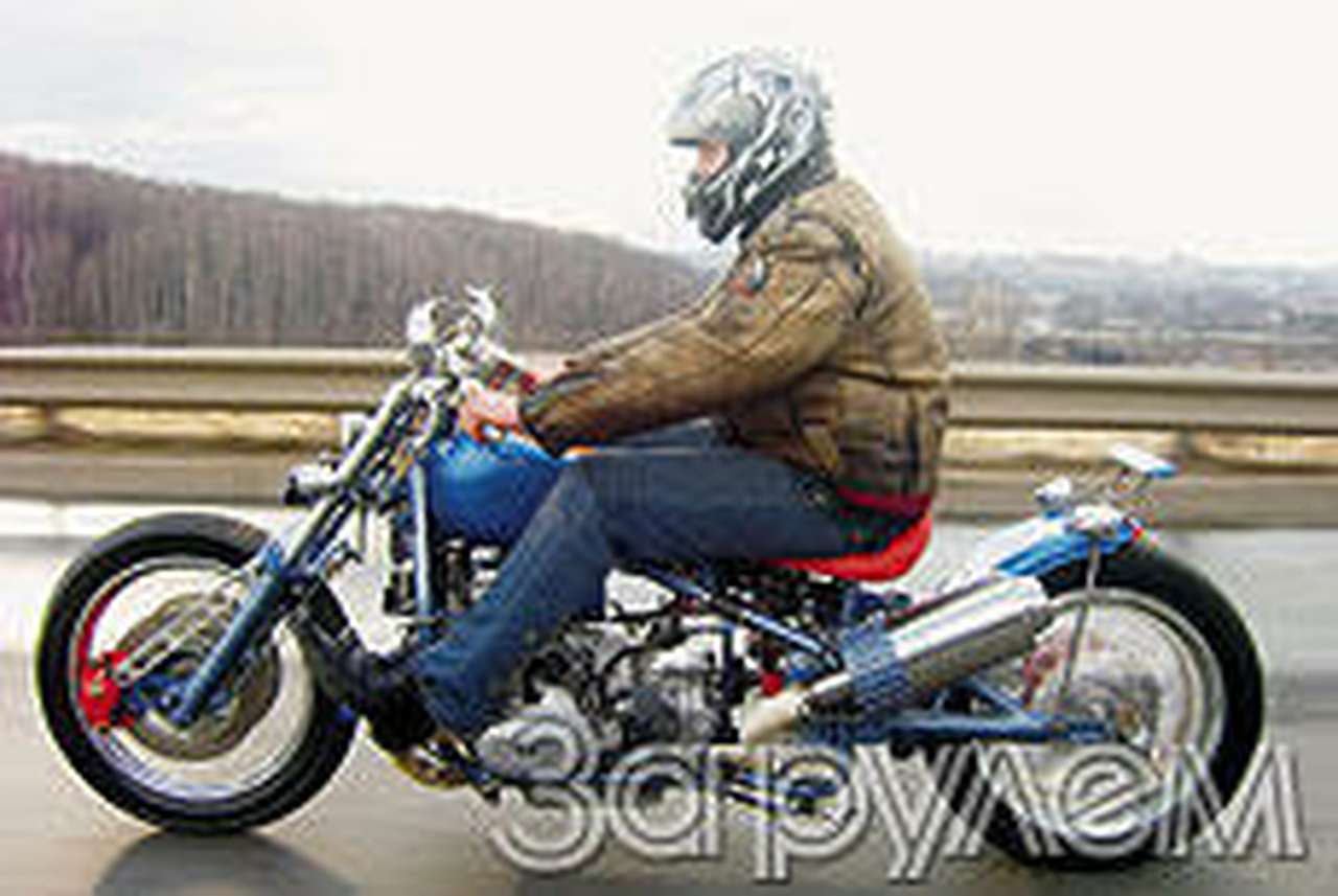 Байк-портрет "динго"