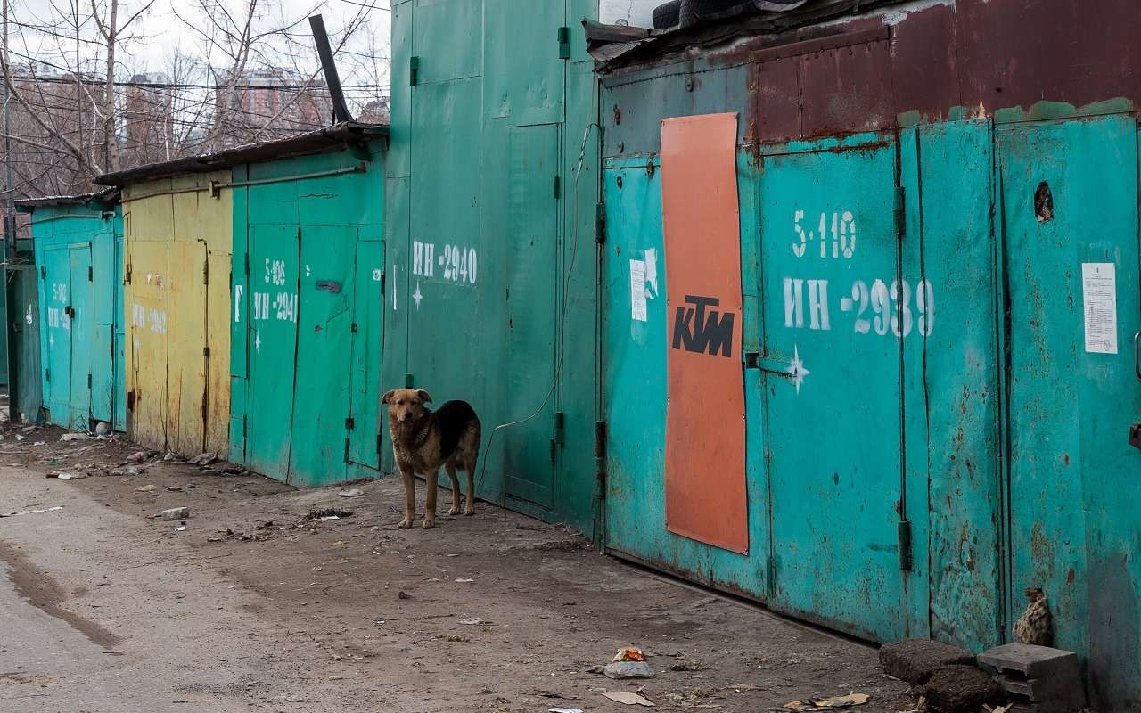 Успейте оформить гараж: срок упрощенной регистрации хотят продлить