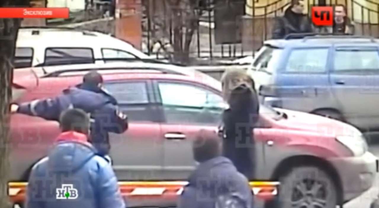 Фотомодели, протащившей за Lexus инспектора ДПС, грозит срок 