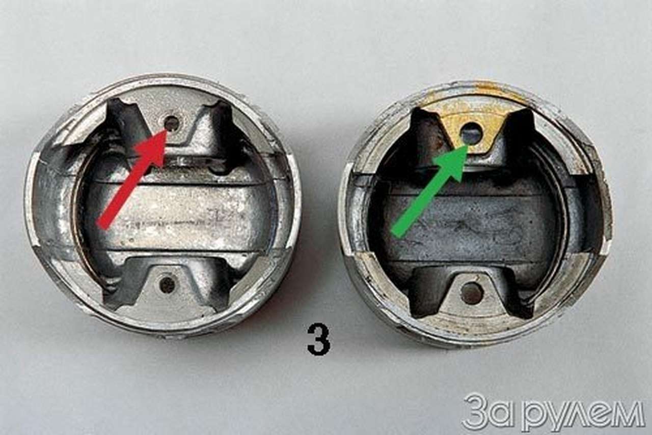 Липа по-над волгой