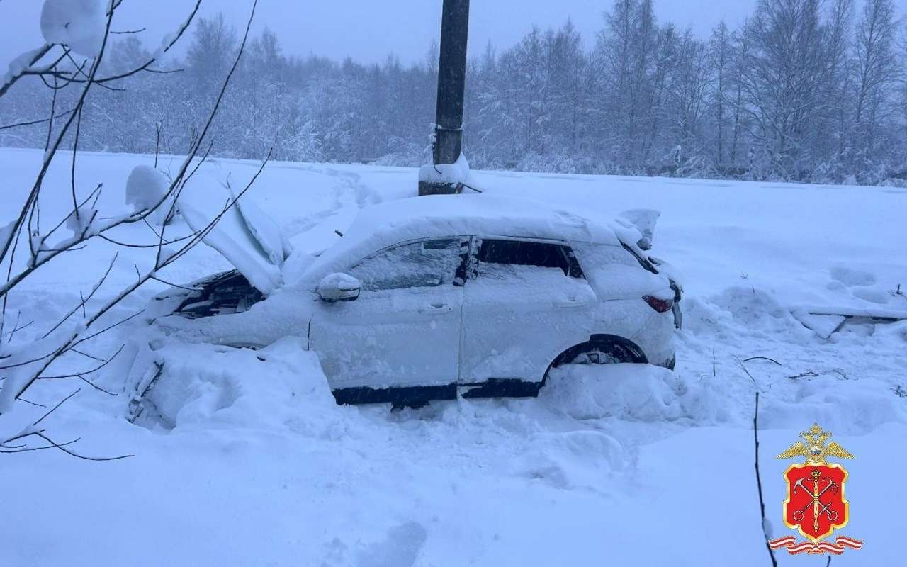 Стали известны подробности смертельного ДТП на ж/д переезде в Ленобласти