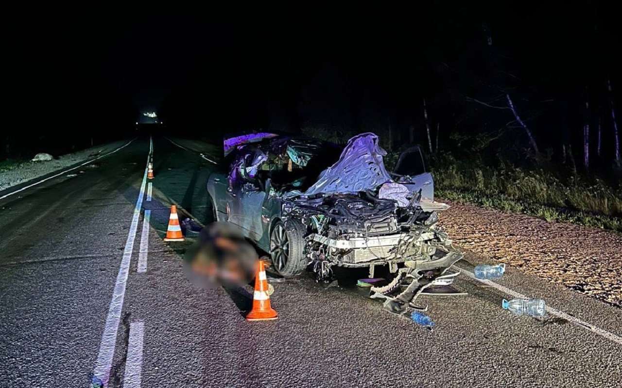 Mercedes-Benz сбил табун лошадей в Иркутской области