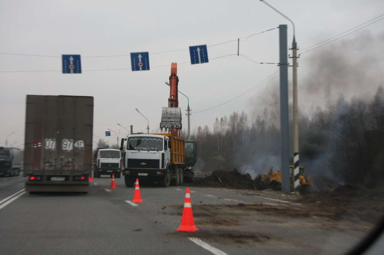 На белорусской приграничной полосе жгут лес и создают дополнительные полосы для автотранспорта, которому становится тесно