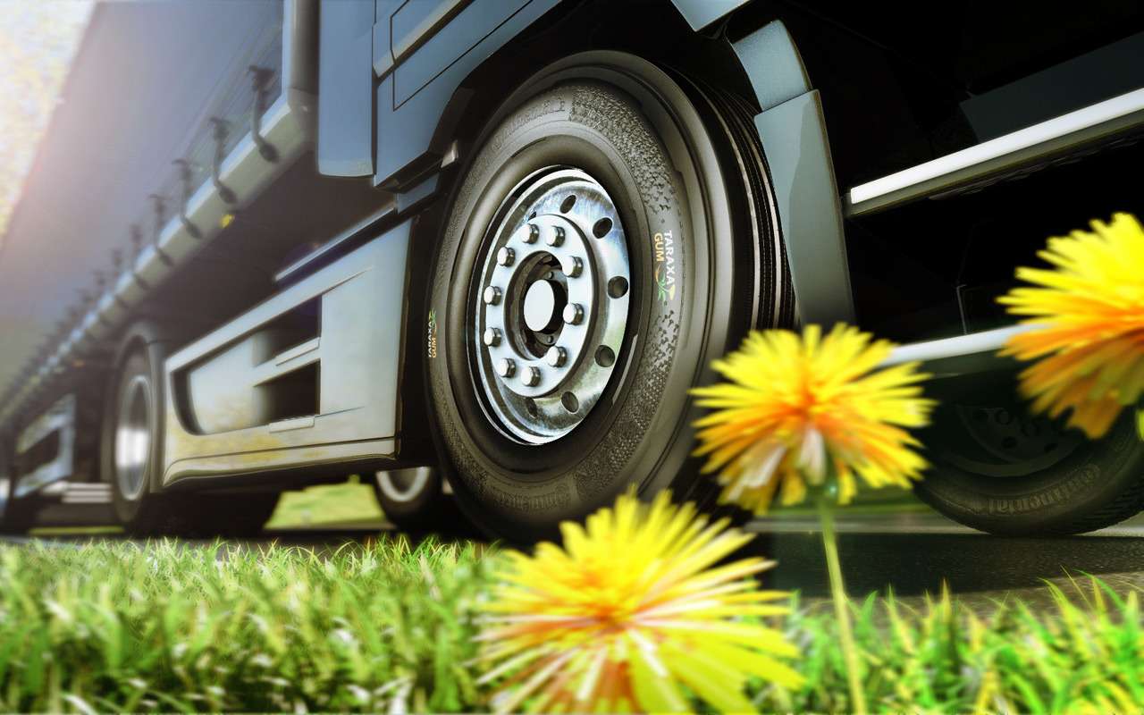 Continental сделает шины из российских одуванчиков