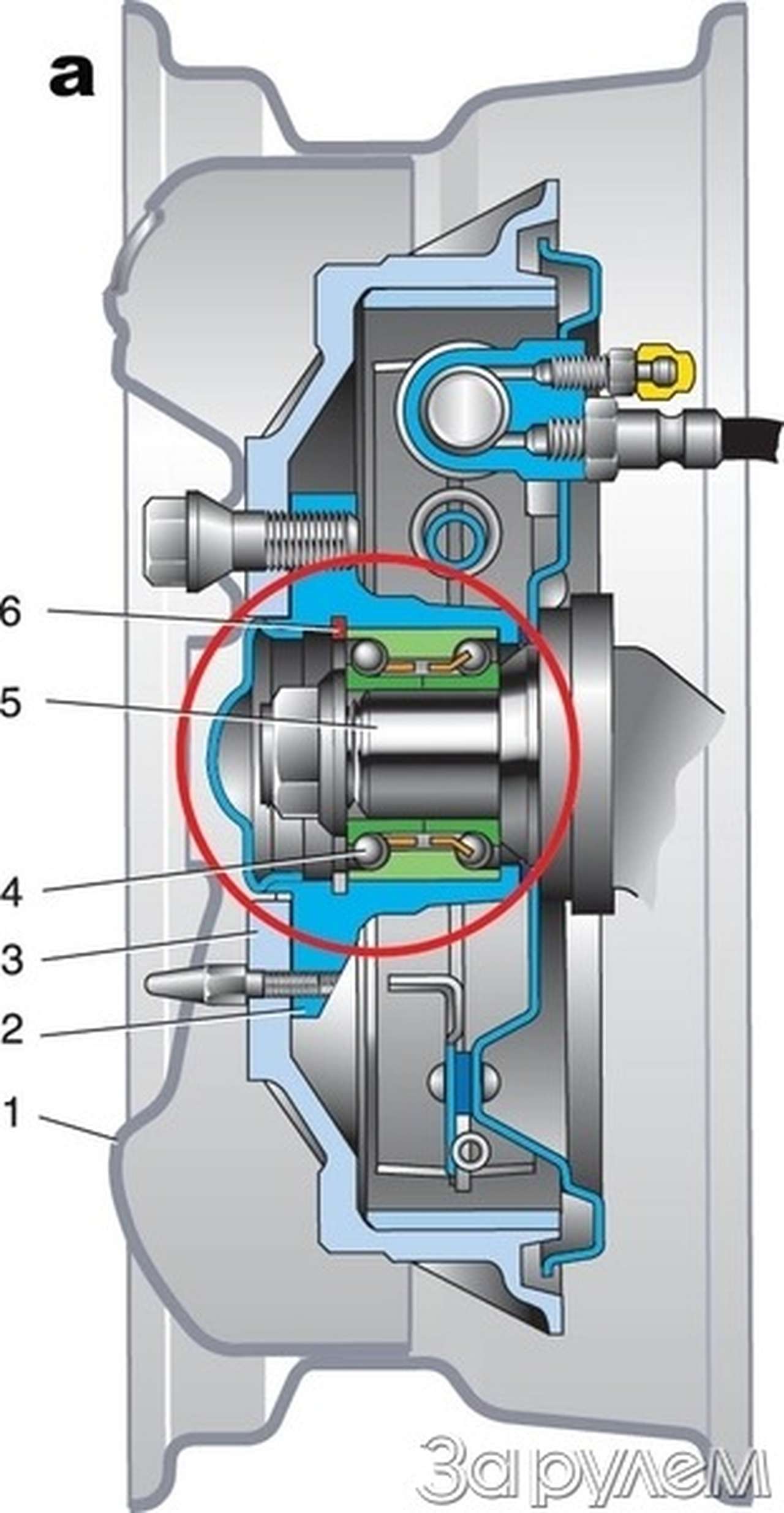 Главнее не бывает