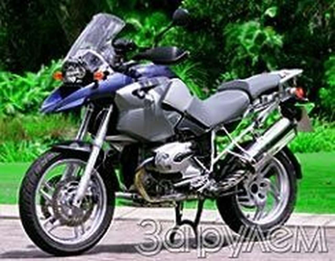 Снежный ястреб