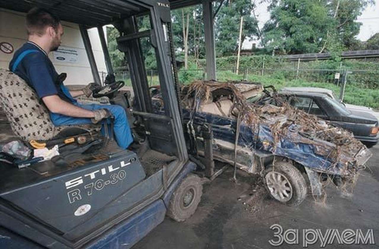 Если бы только запах