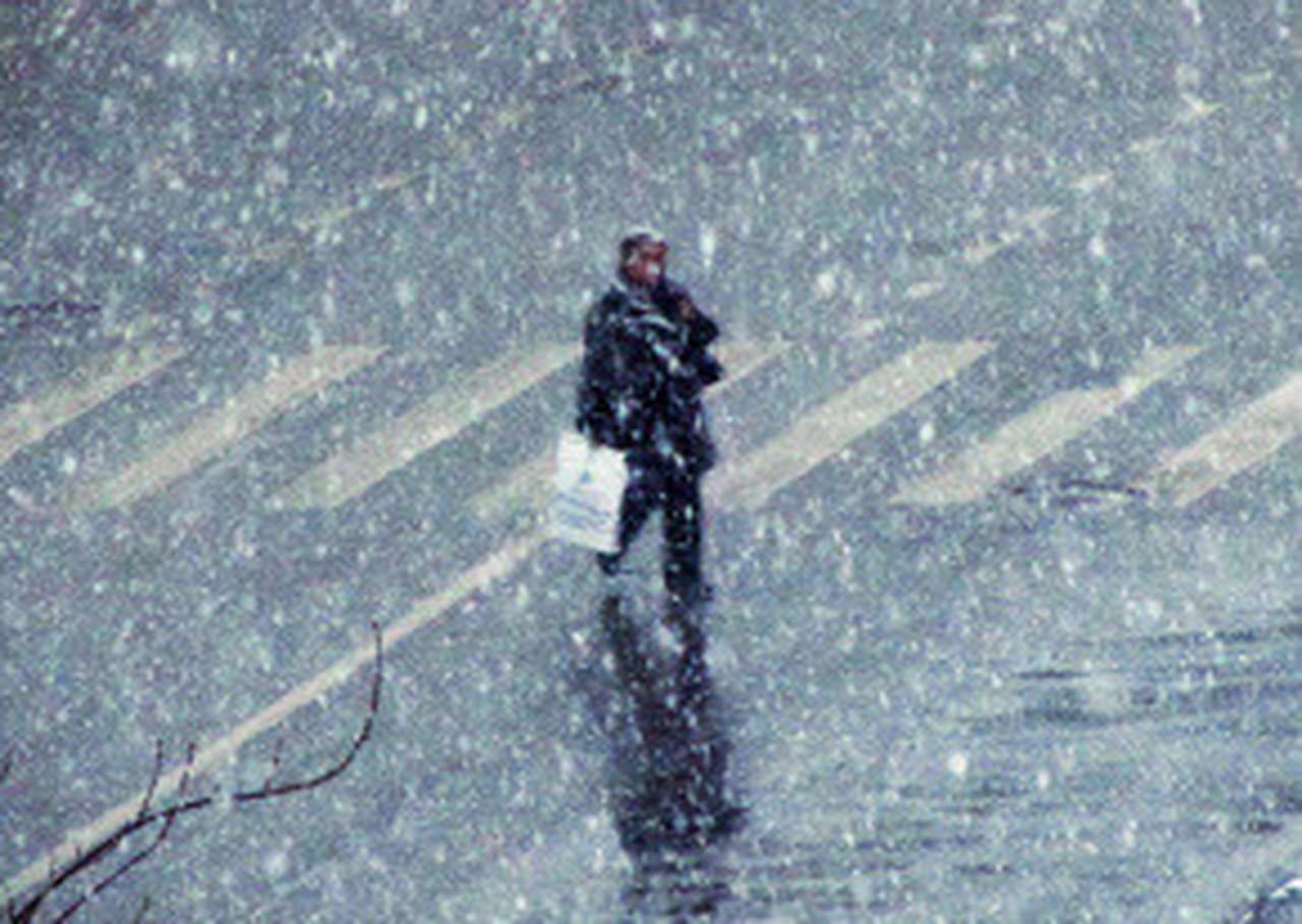 Пешеходы нарушают ПДД вдвое чаще водителей 