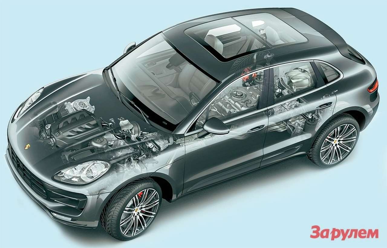 Porsche Macan: кроссовер в тигровой шкуре 