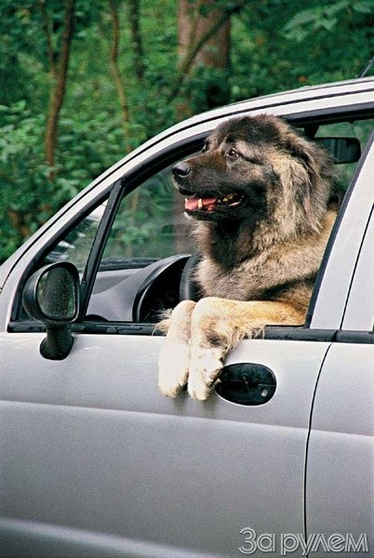 Реальная защита... в условных единицах