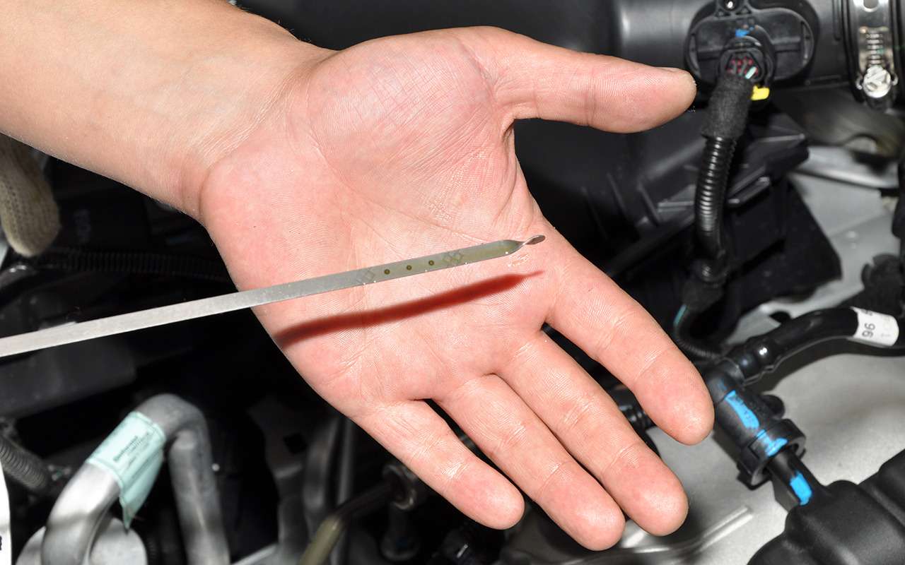 Почему сосед меняет масло весной – 4 убедительных аргумента