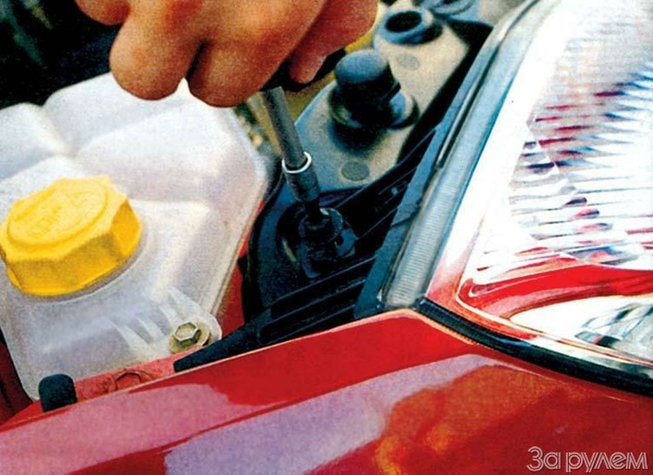 Лампочка в законе