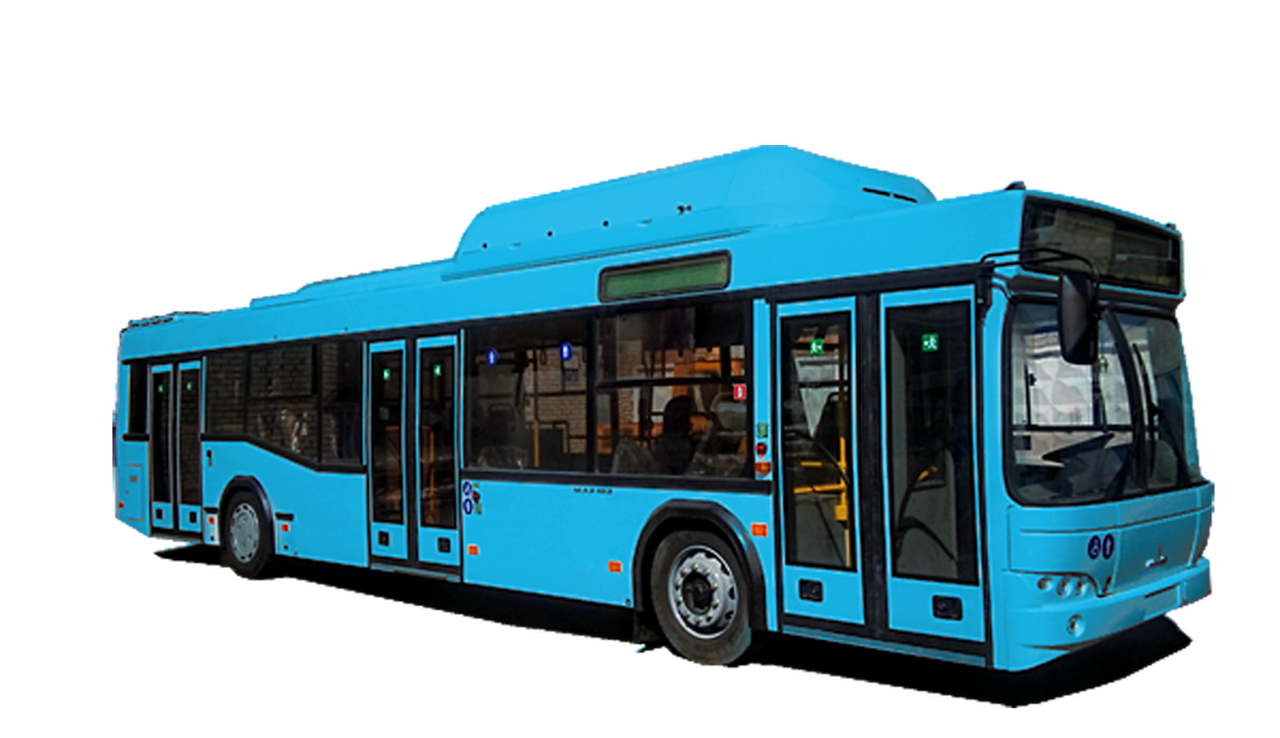 Во Вьетнаме будут выпускать «похудевшие» МАЗы в цвете питерского «Зенита»