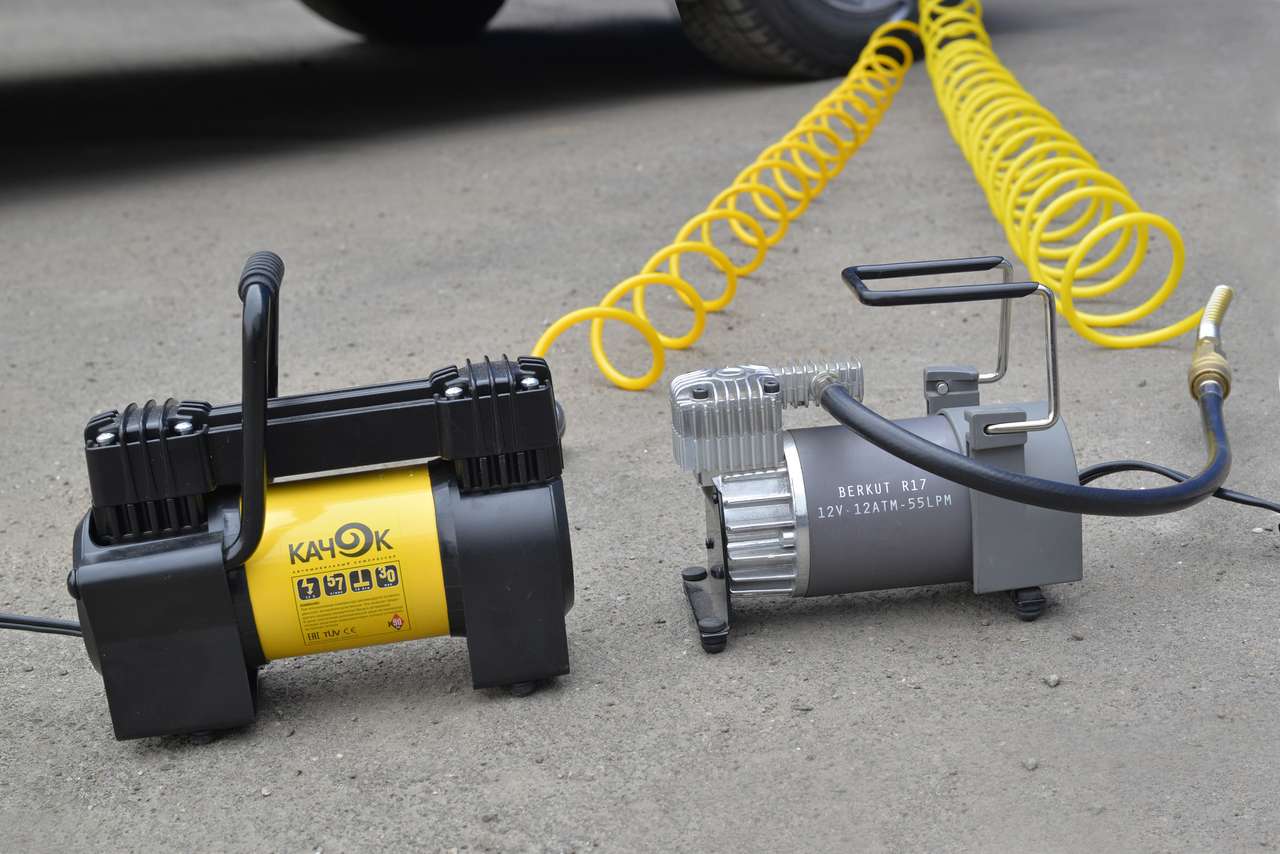 Два богатыря: «Качок» против «Беркута»