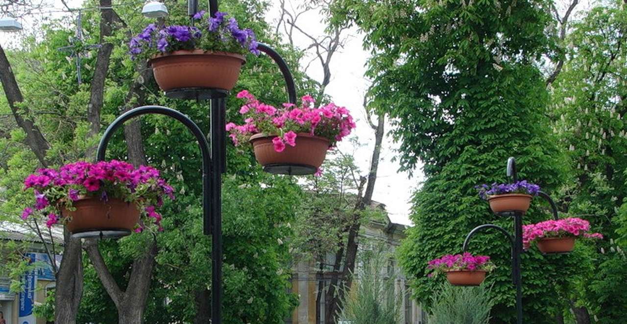 В Москве вдоль вылетных магистралей оборудуют висячие сады