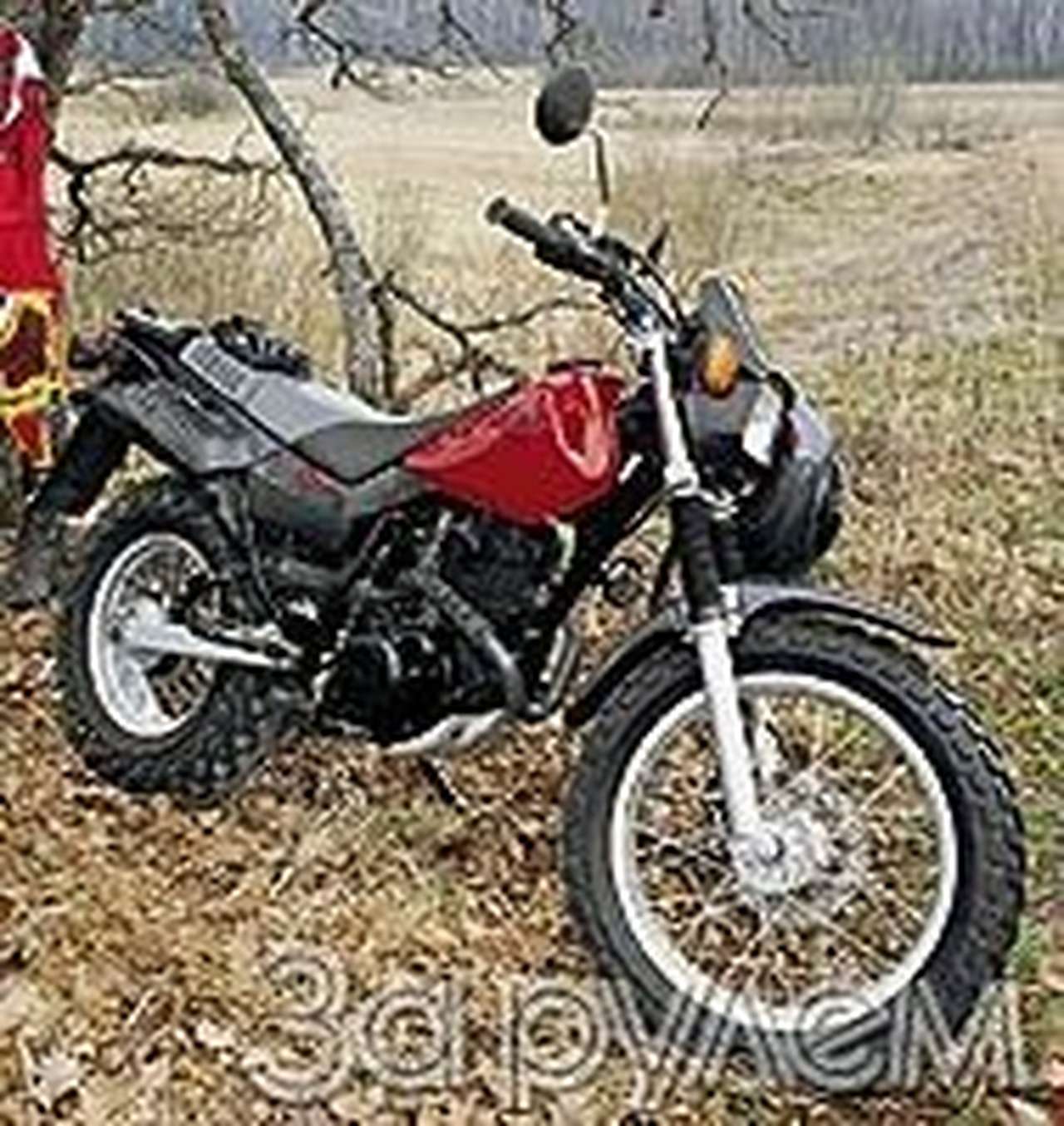 Портрет идеального дачника