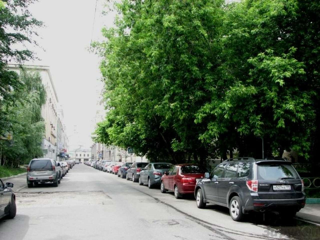 Знак увидеть фактически невозможно: он "замаскирован" листвой.