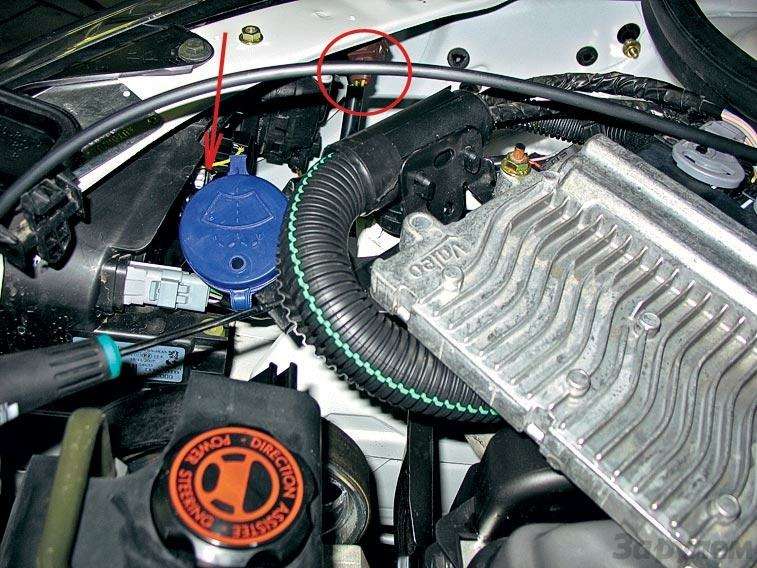 Пежо 206 ошибка. Ошибки peugeot 206. пежо 206 ошибка р0115. ошибка 13100 пежо 206. р1035 пежо 206 ошибка.