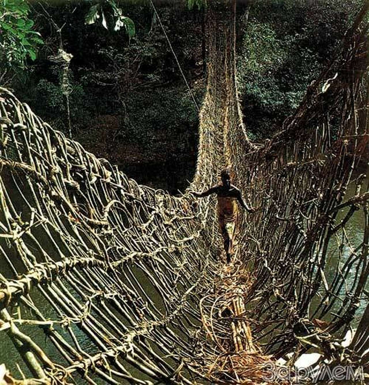 Черный континент