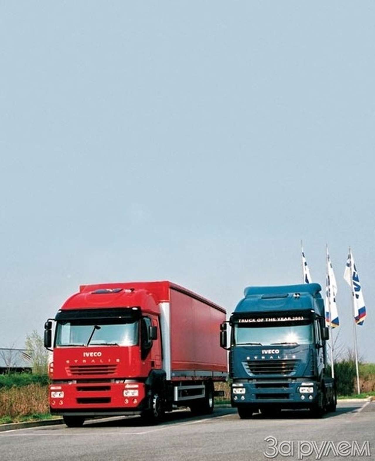 Братья по крови