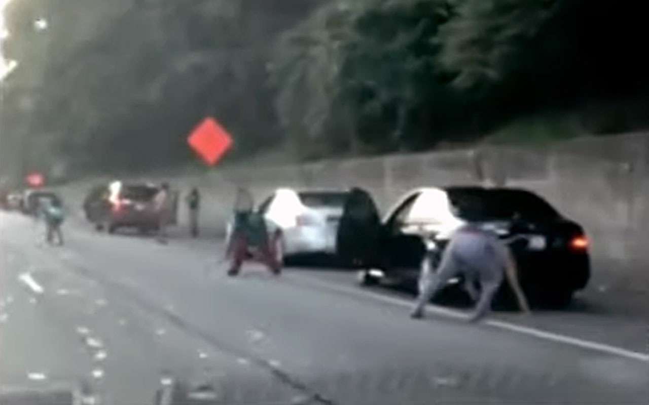 Куча денег на дороге: инкассаторы потеряли всю выручку