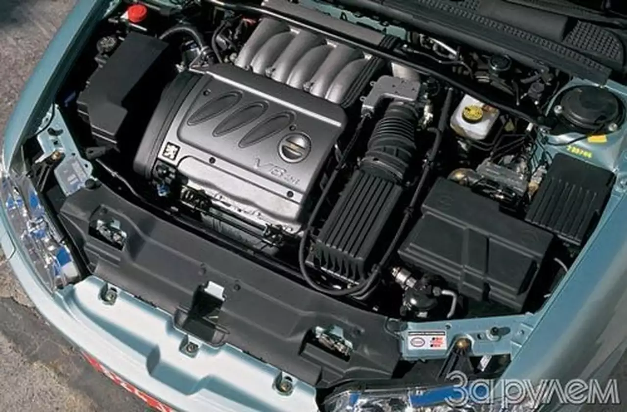 По следу "льва"