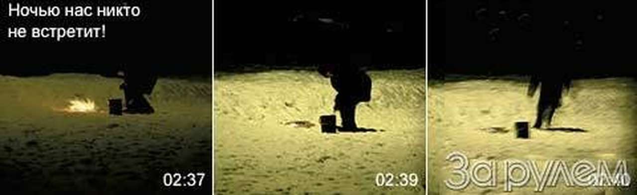 Подножный корм