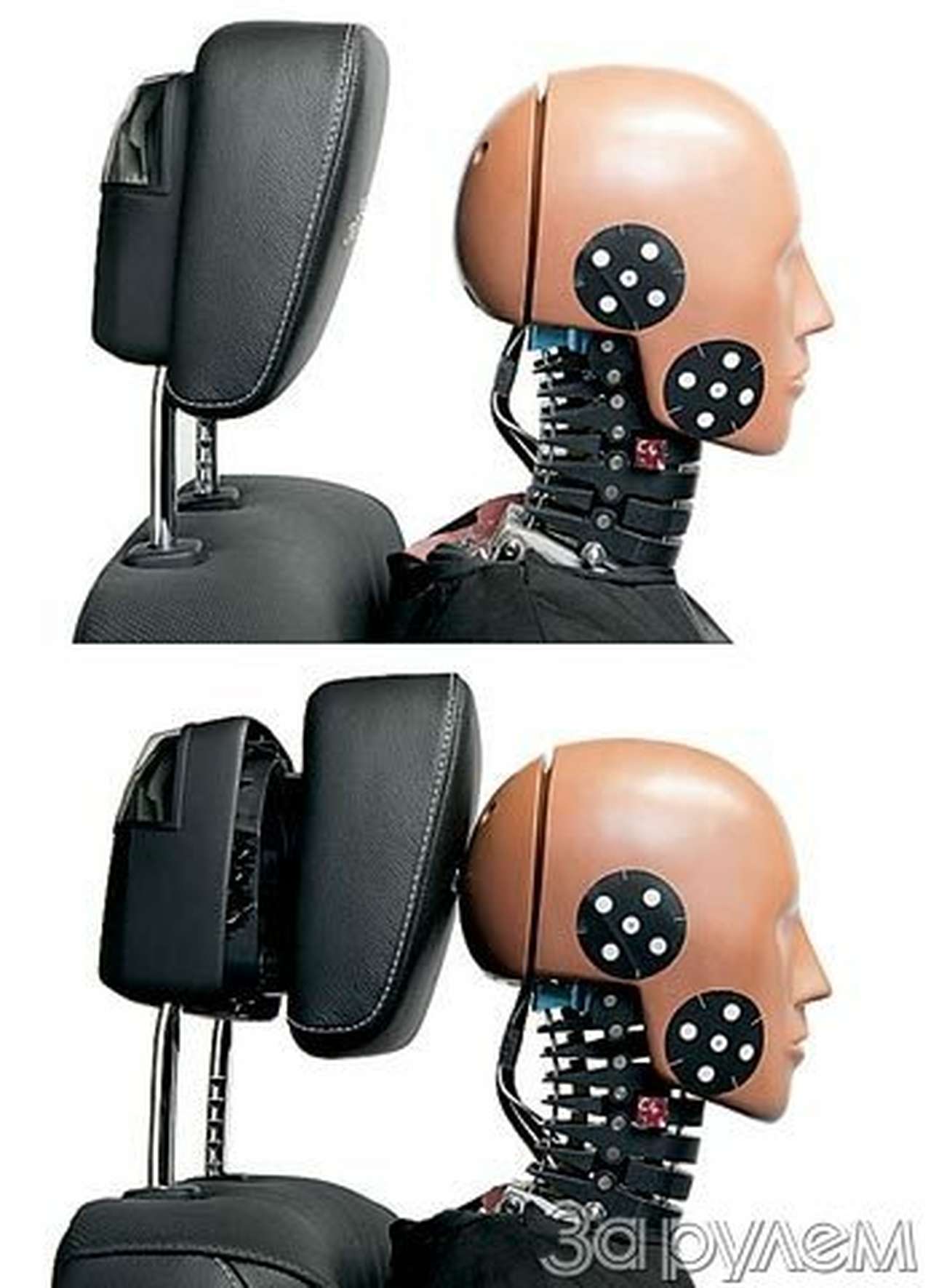 Новинки, иследования, изобретения. С ГОЛОВЫ ДО…