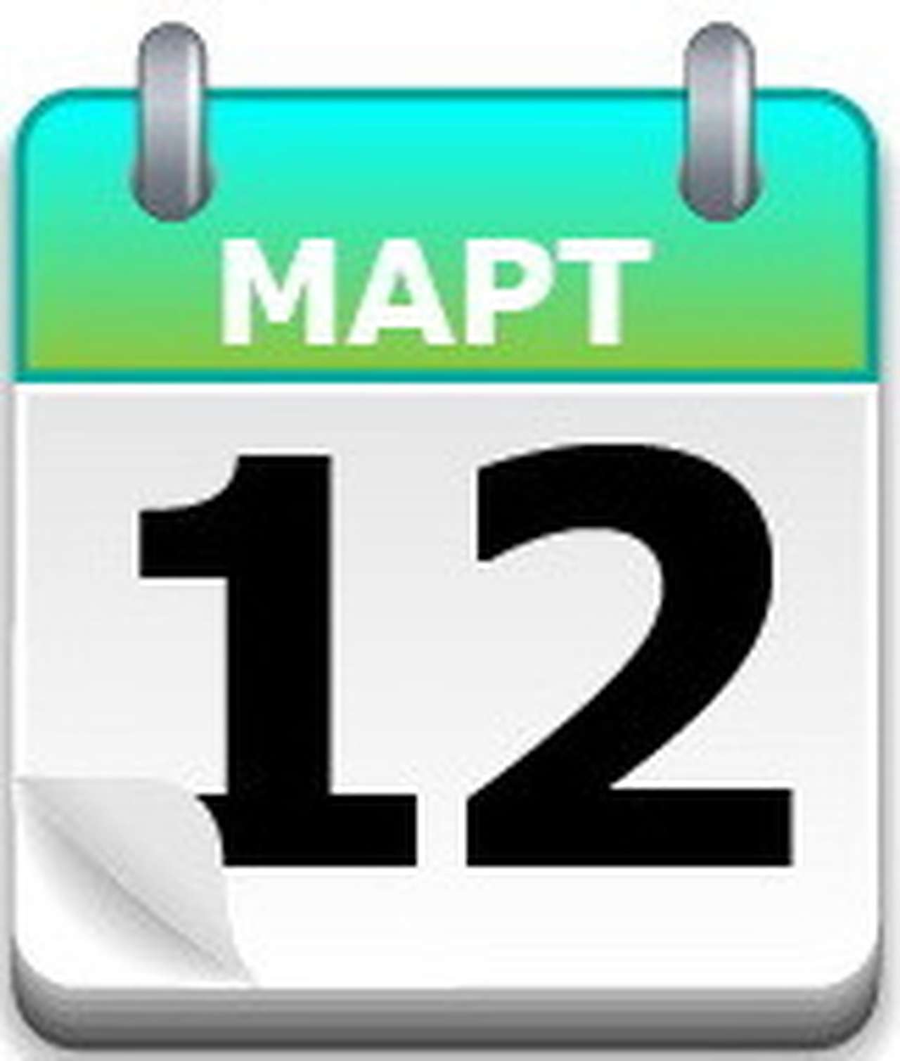 Под крылом чайки 