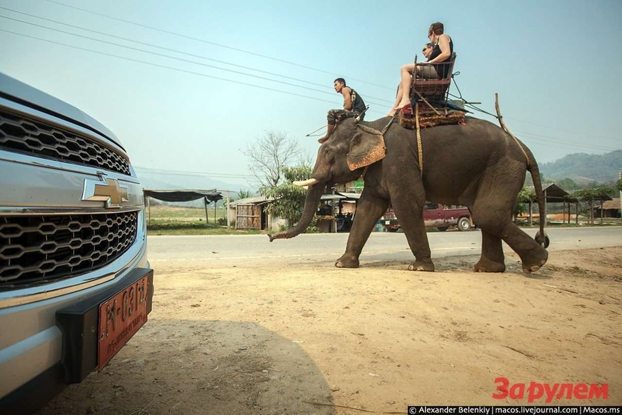 Таиланд: слоновий тест-драйв