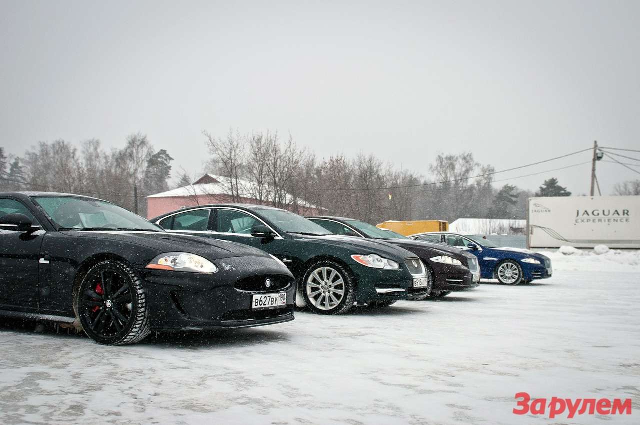 Jaguar Experience: «дикие кошки» на льду
