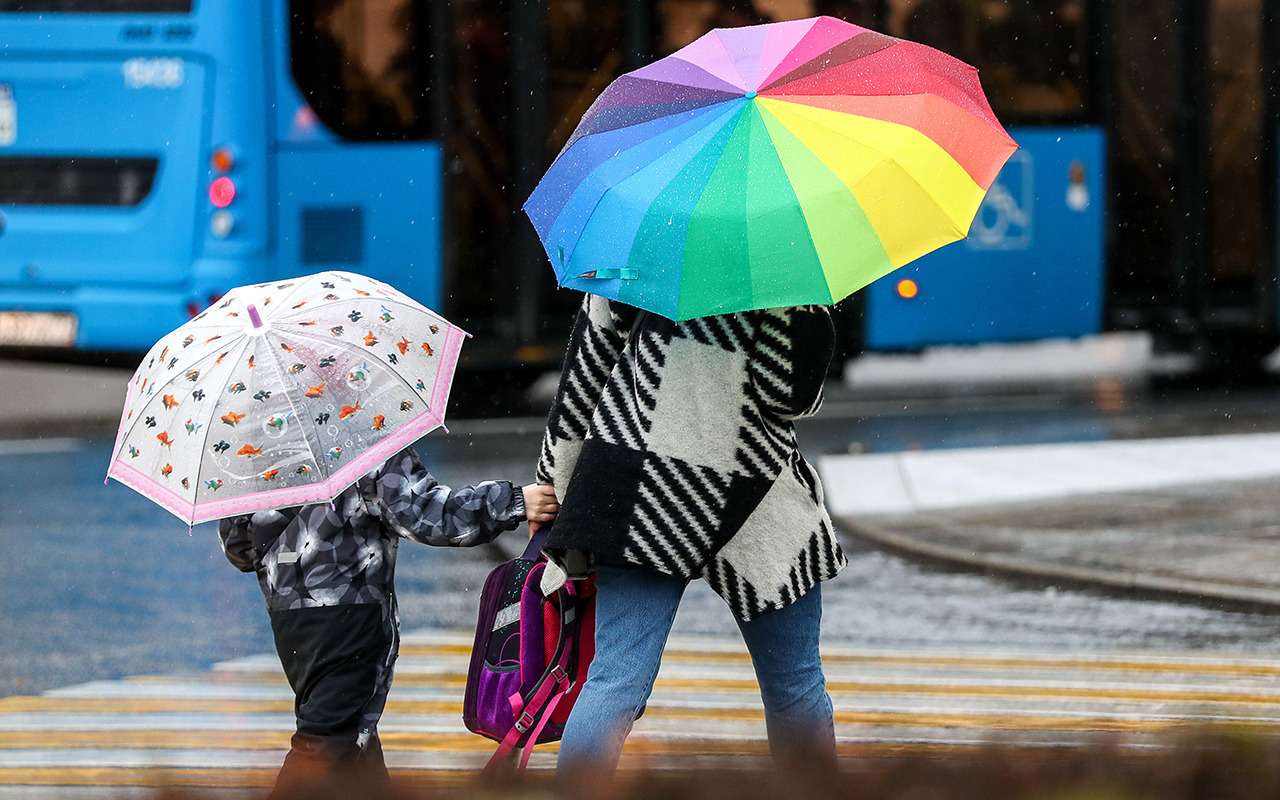 Подмосковные камеры начнут фиксировать непропуск пешеходов