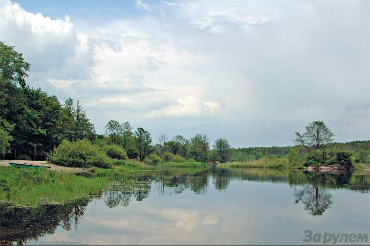 Из городской суеты