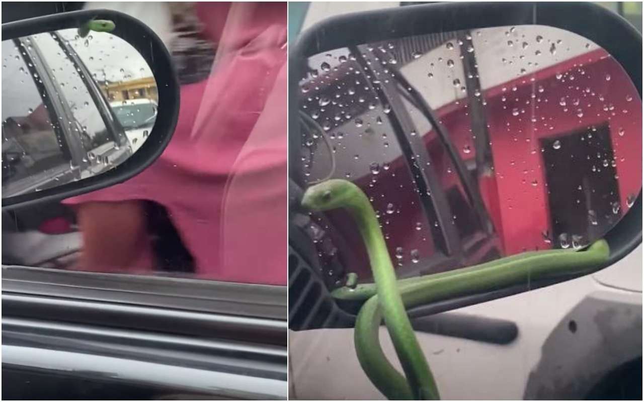 Случай на дороге: когда замечаешь, что тебя кто-то сверлит взглядом