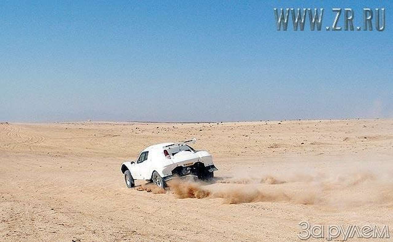 На волю, в пампасы!