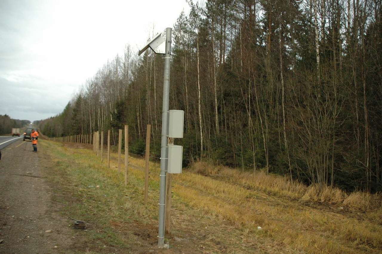 На федеральных трассах появляются «электропастухи»