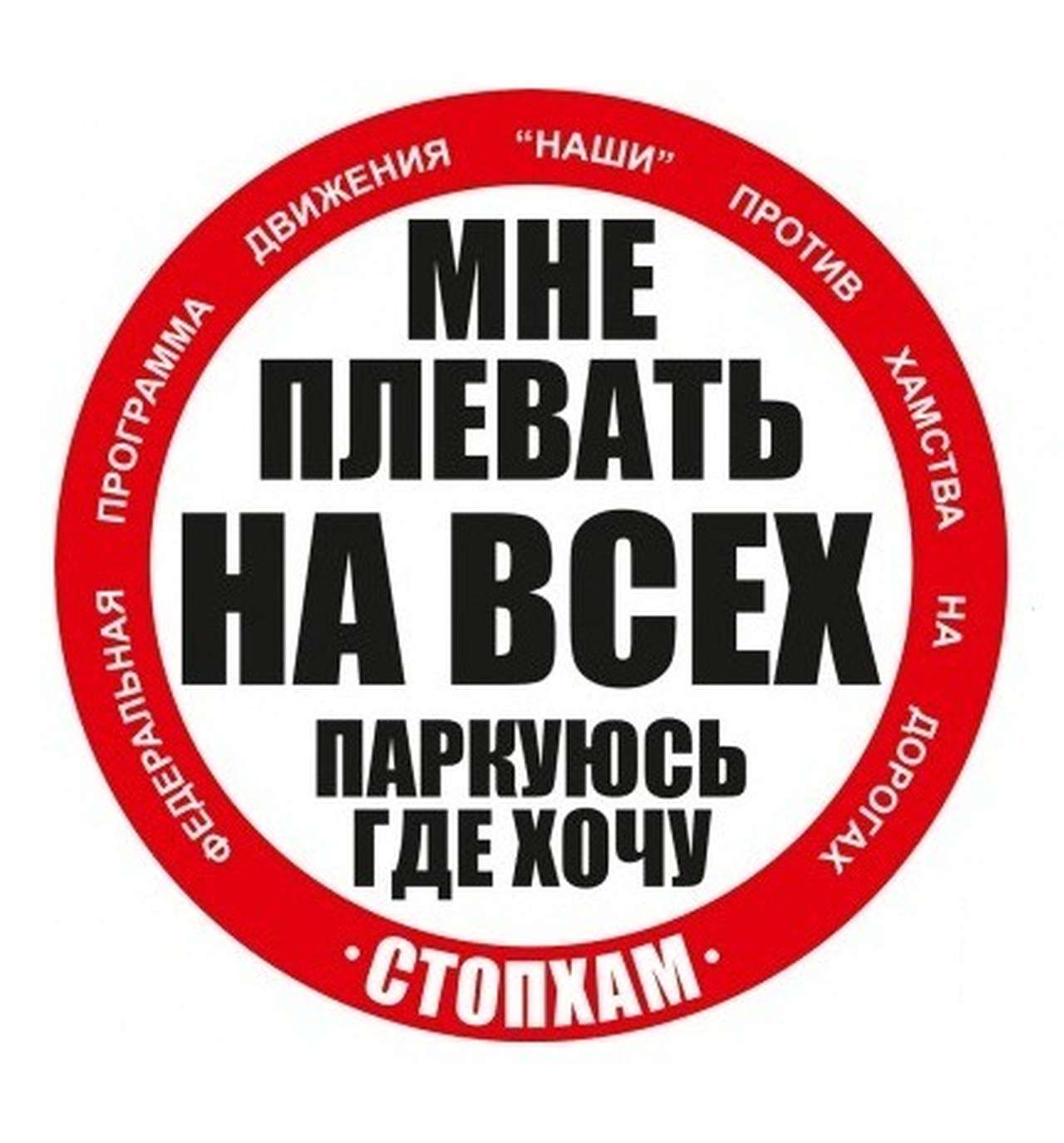 Федеральный проект под красивой вывеской "НАШИ". Предполагаем и федеральное же финансирование?