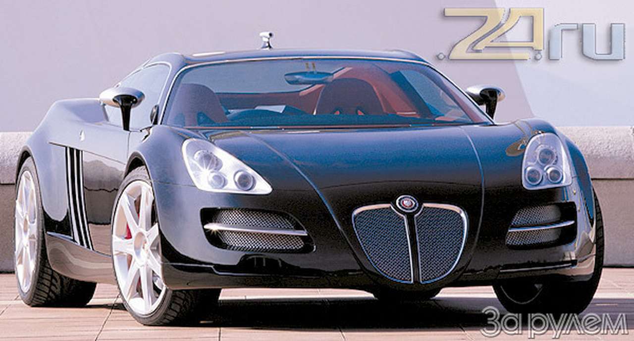 Дикий кот в черной "бабочке"