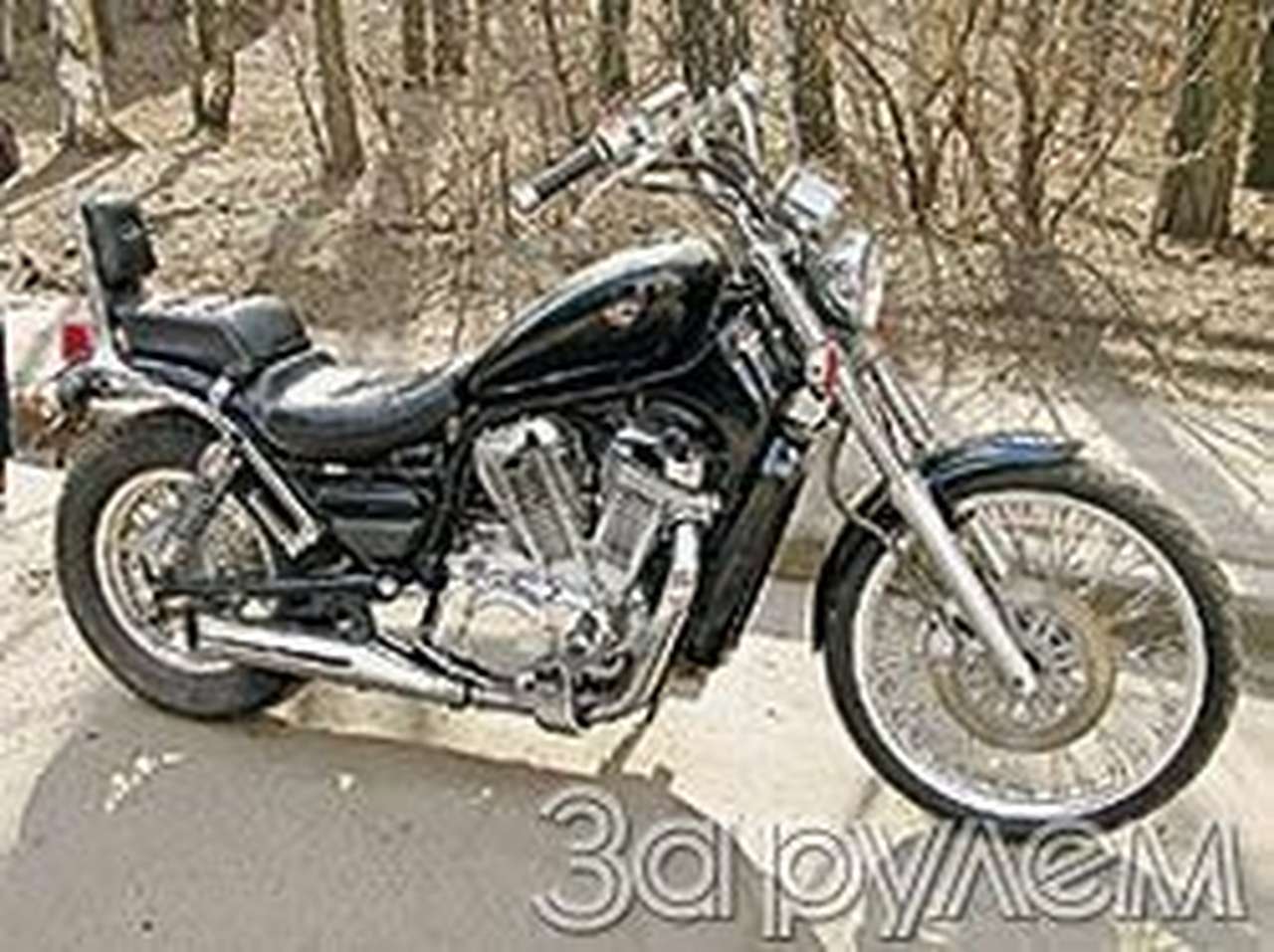 Горбунок по-японски