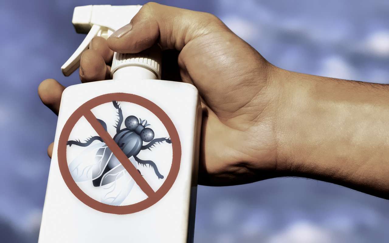 Чем отмыть машину после поездки на дачу? Экспертиза «За рулем»