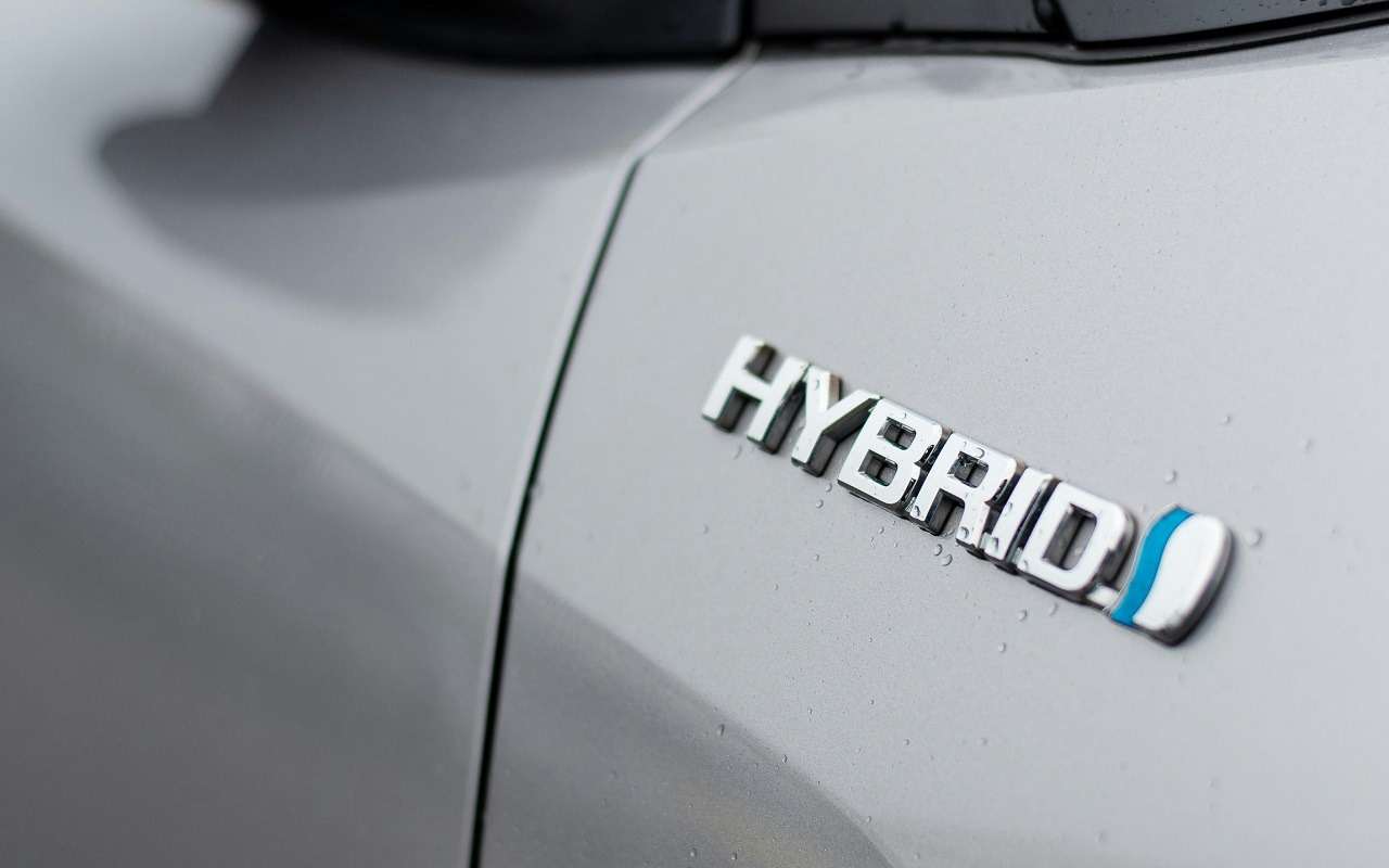 Эти электромобили и гибриды сильнее всего любят в России