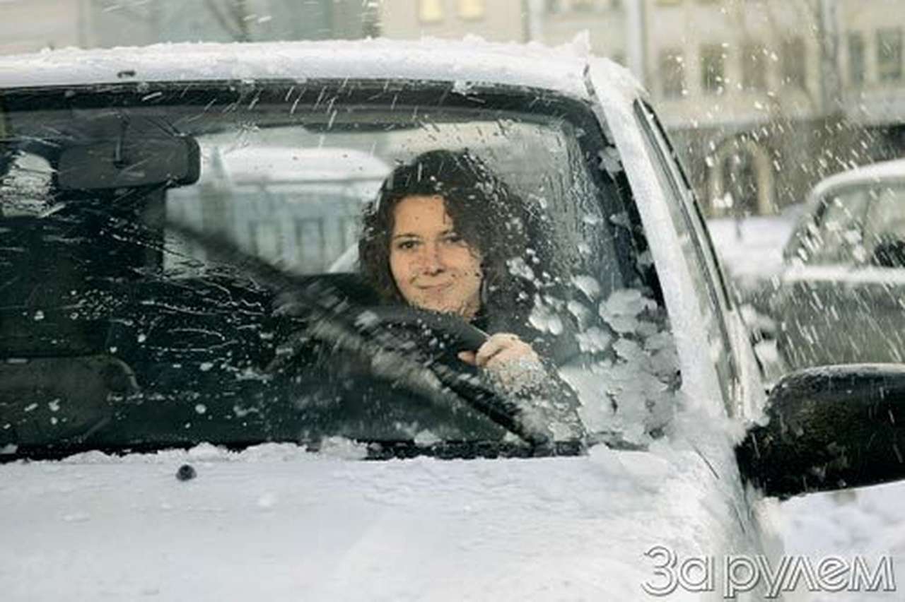 Экспертиза: жидкости для омывателя. орхидея на грязном стекле