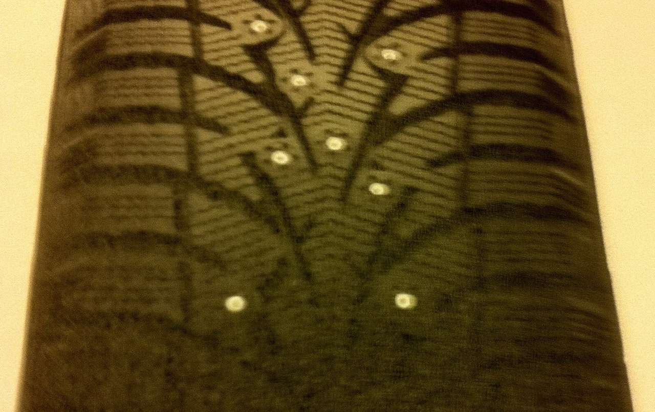 Toyo добавила в шину ореховой скорлупы 