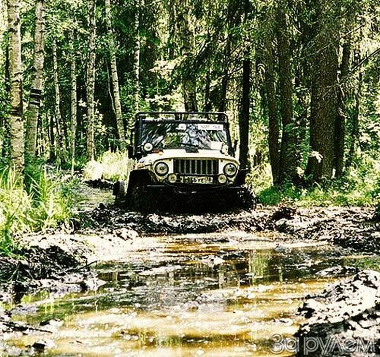 Асфальту – дружное «нет»!