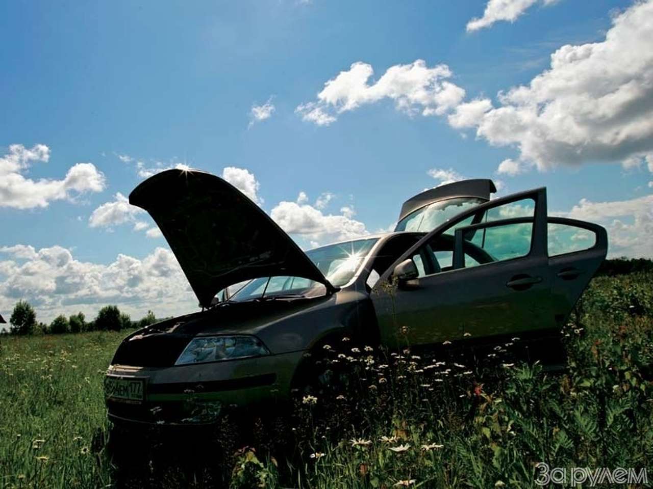 Тест Skoda Octavia. Попасть в хорошие руки.