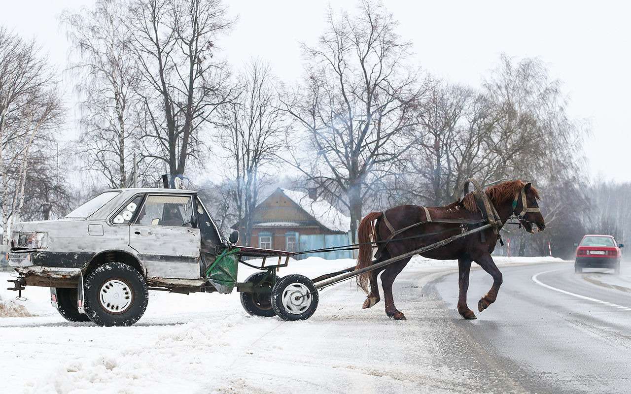 Конемобиль в одну лошадиную силу: «ноу-хау» жителя глубинки