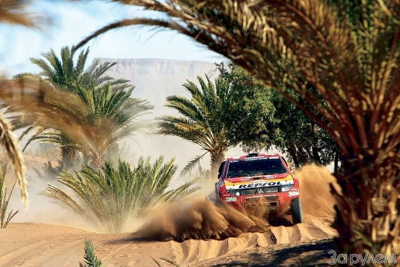 Вместо Африки - Америка?