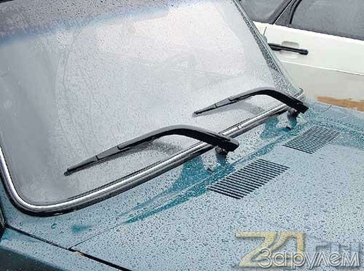 Пускай живешь ты дворником...