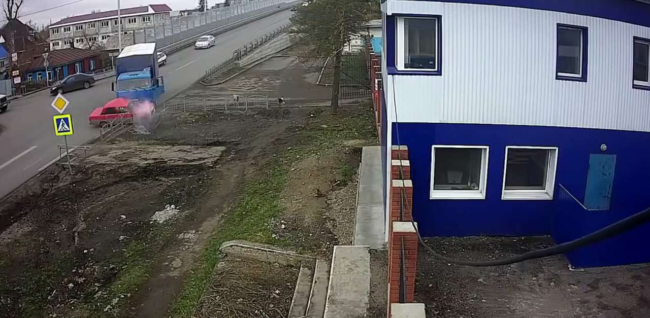 Первым на место ДТП прибегает «собачий патруль»