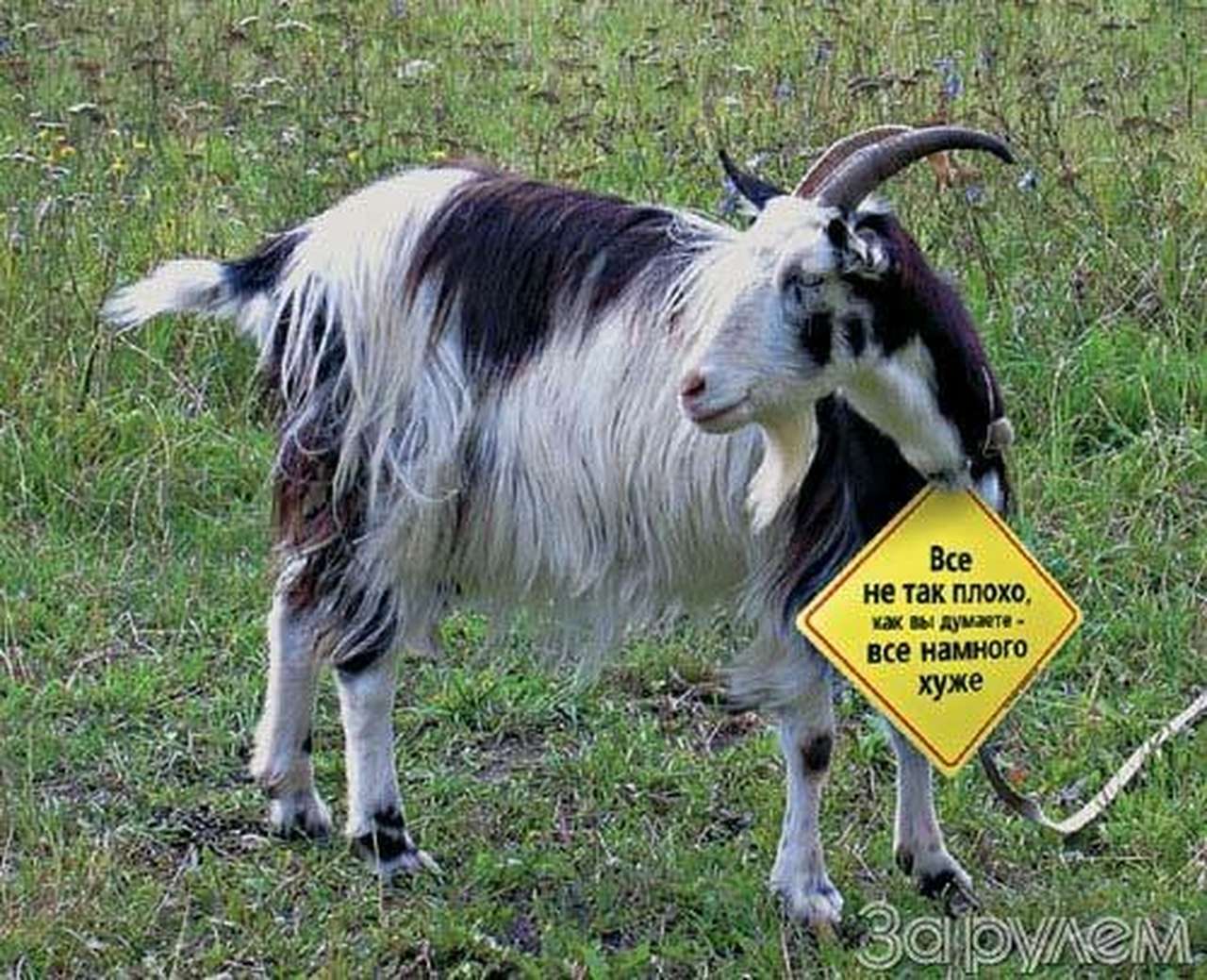 На том конце замедленного жеста